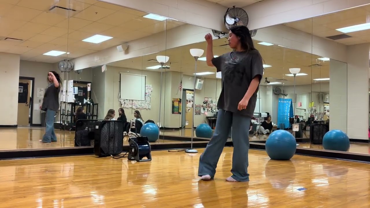 5: Please Don’t Stop the Music, Circus (whole dance)