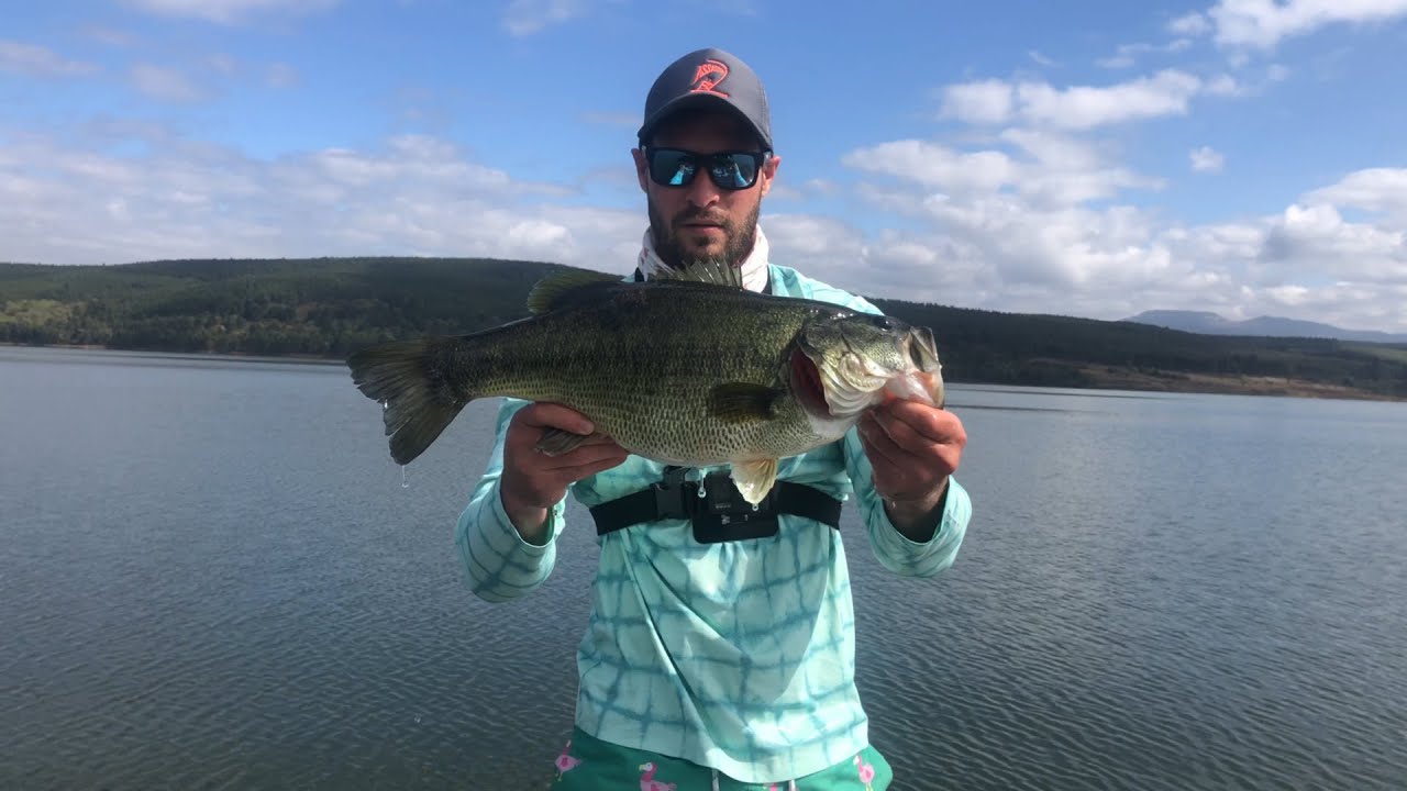 Fishing for BIG SPAWN BASS at Albert Falls, * Part 1*. Bass Fishing South Africa.