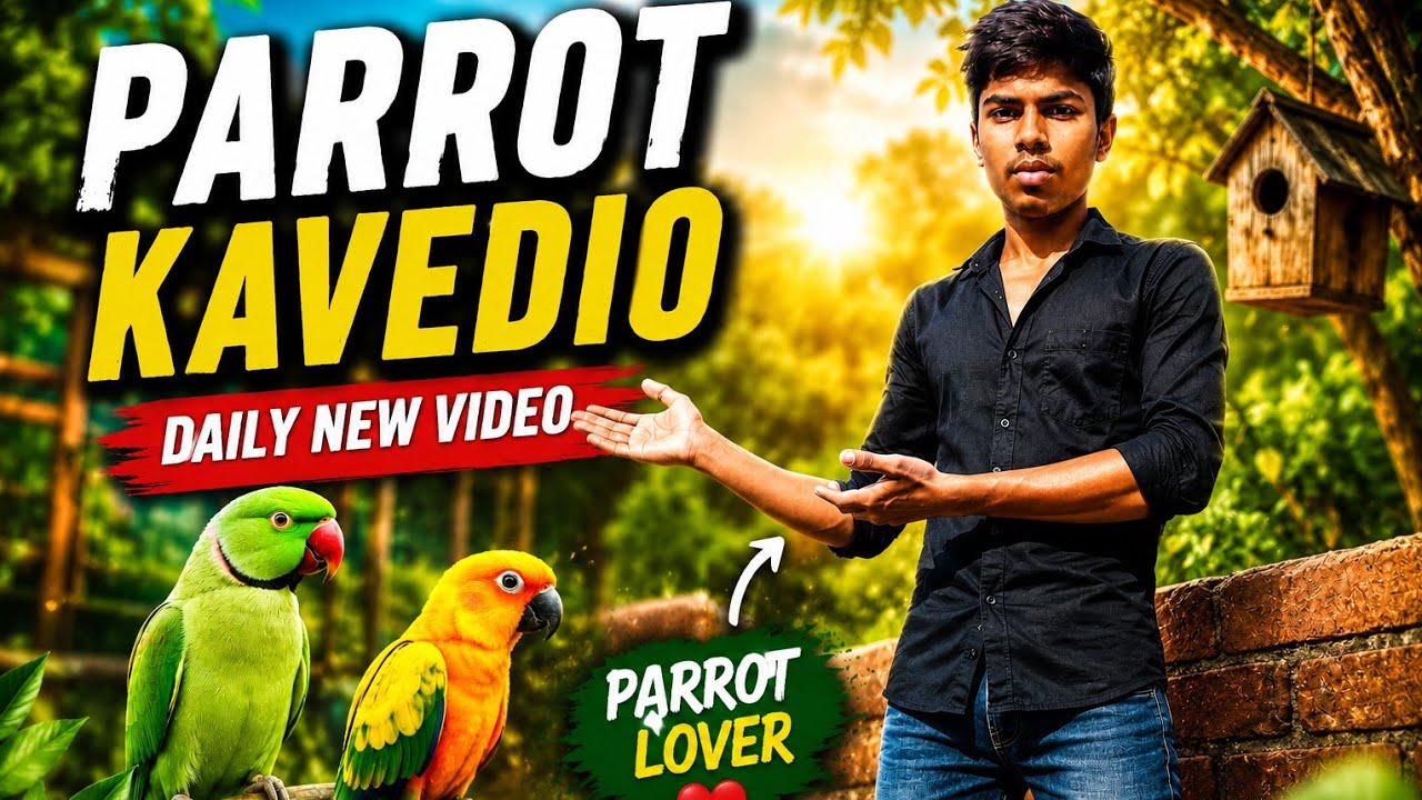 Is video par 500👍 please subscribe indian ringnak parrot talking