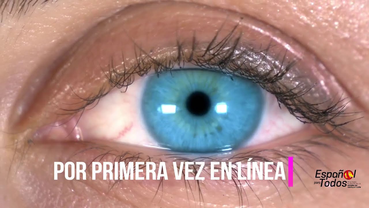 VI CONGRESO INTERNACIONAL DEL ESPAÑOL EN CASTILLA Y LEÓN