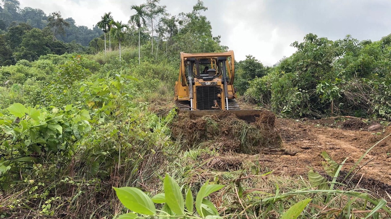 Tips for Successfully Repairing Old Plantation Roads with a D6R XL Bulldozer