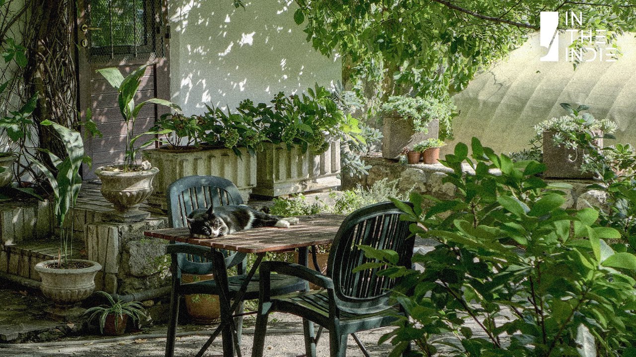 𝗣𝗟𝗔𝗬𝗟𝗜𝗦𝗧 깊어가는 봄, 촌캉스에서의 하루를 보내요🌿 | 백예린, 우효, 폴킴 •••