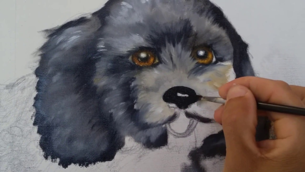 Como pintar poodle preto