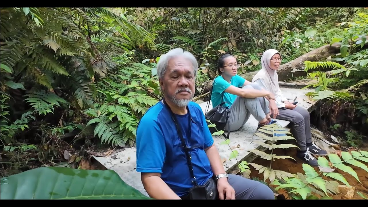 Taman Rimba Bukit Gasing Jan 2024