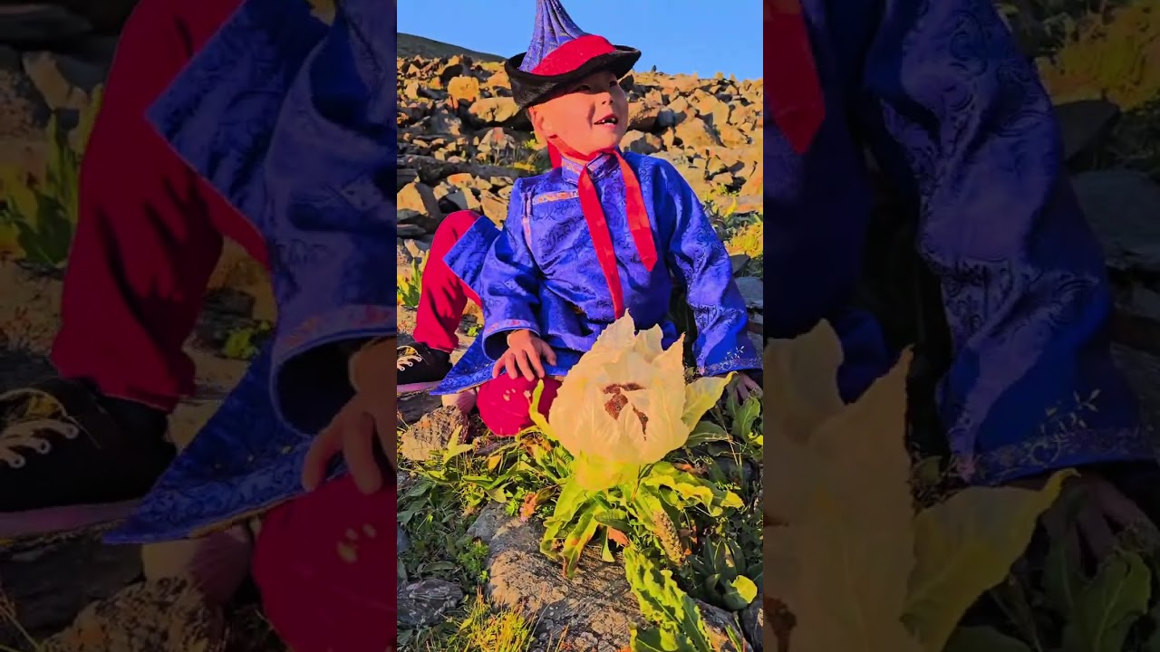 Ж.Батбаяр Б.Уранцэцэг Б.Сүлд-Эрдэнэ Вансэмбэрүү цэцэг говь-алтай 