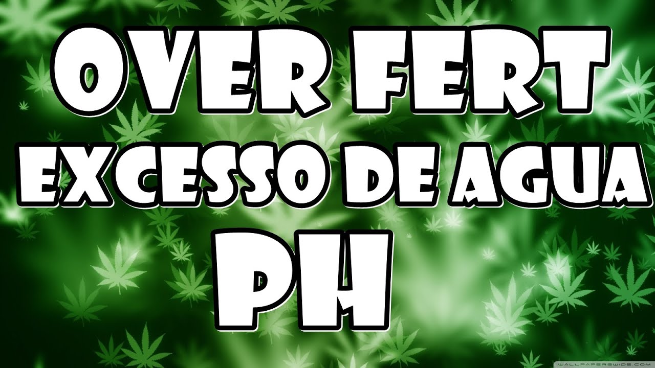 OVER FERT CANNABIS MACONHA CUPOM10%OFF GROW POWER CULTIVO INDOOR