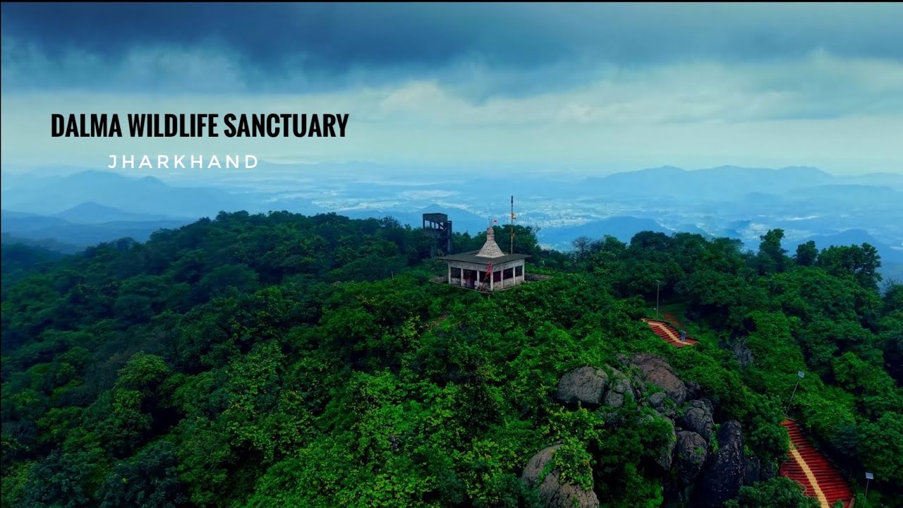 Unseen View of DALMA WILDLIFE SANCTUARY || Jharkhand ||