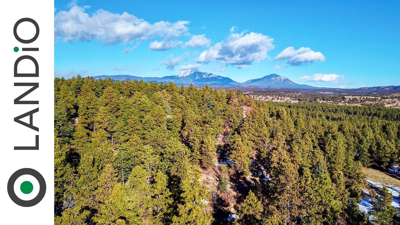 SOLD by LANDiO • 5 Acres of Wooded Mountain Land in Colorado with Electricity & Road Frontage