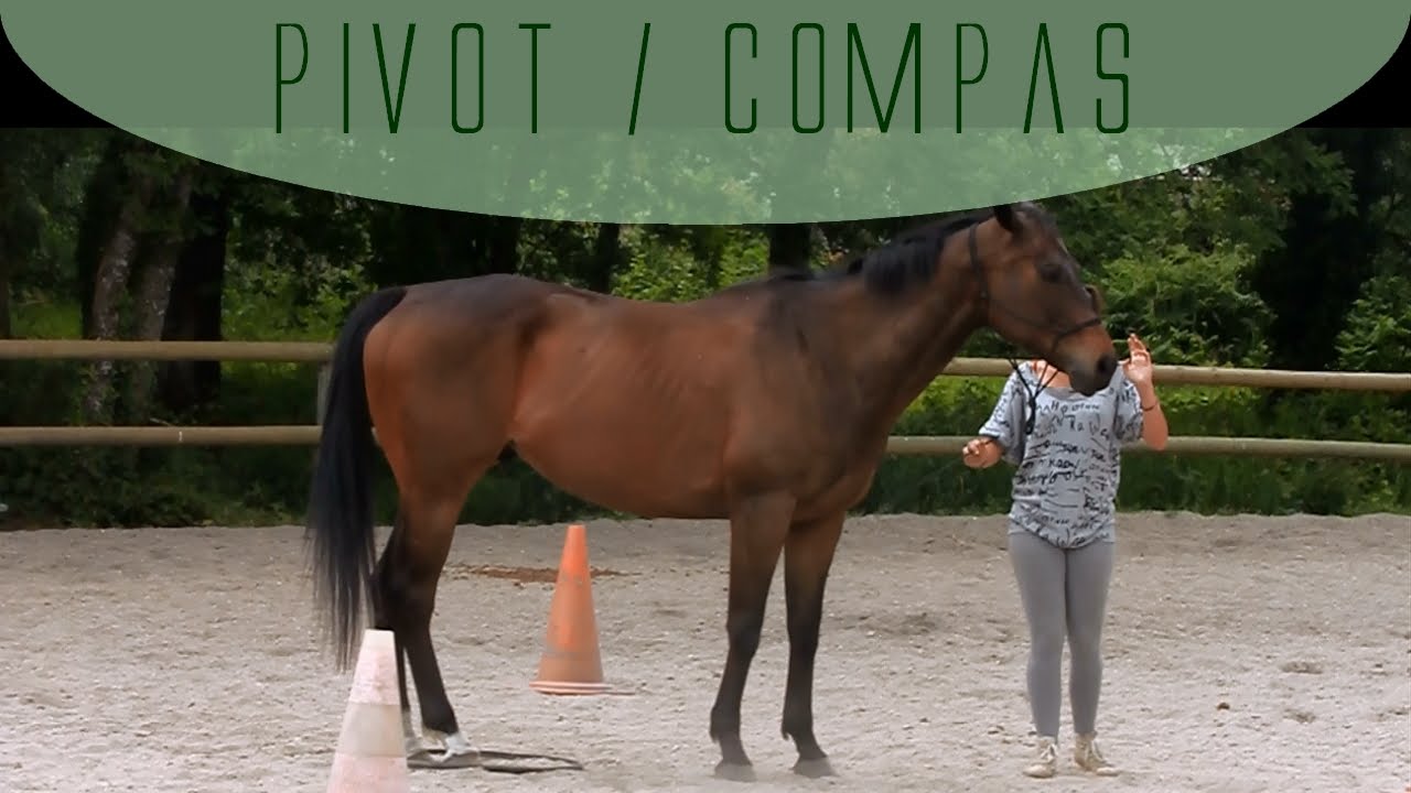 Equifeel : Explication Pivot et Compas