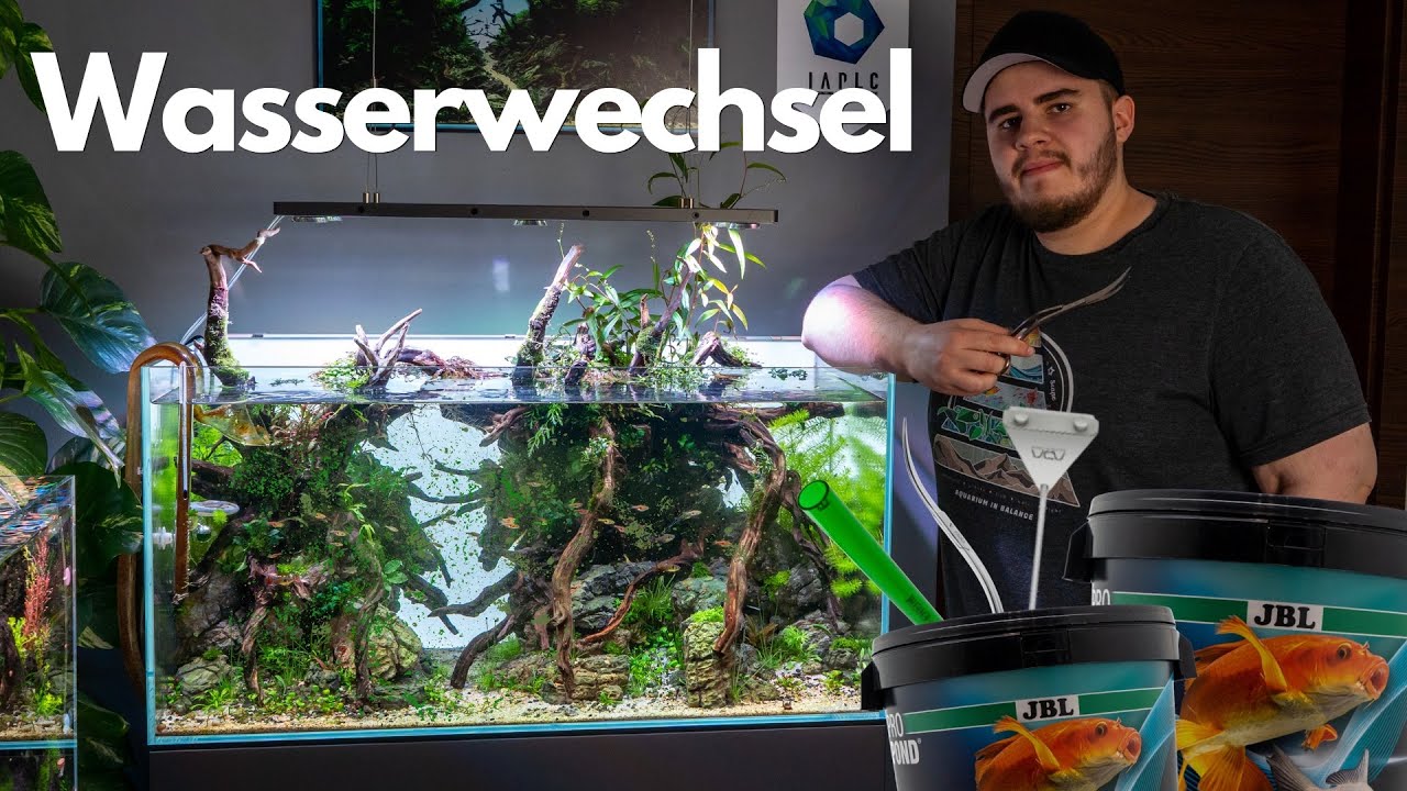 So pflegt man ein Aquascape! Schritt für Schritt Wasserwechsel Anleitung