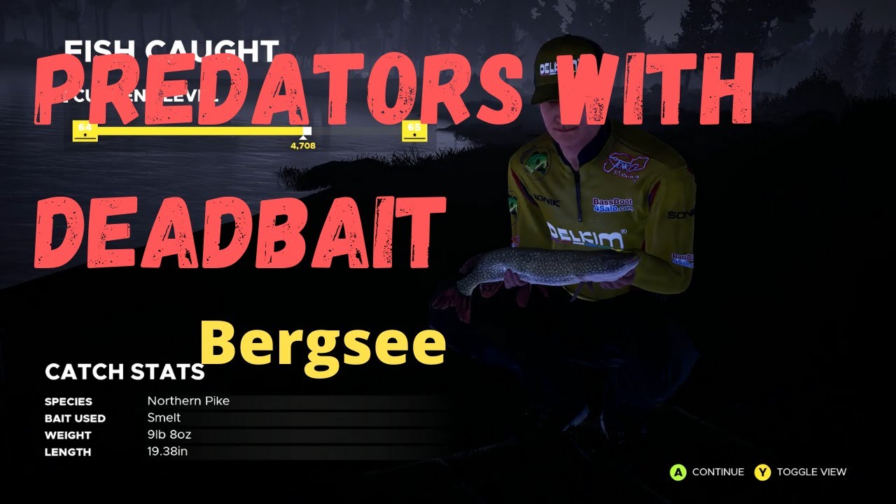 Catching Predators with Dead Bait - Austrian Alps Championship - Bergsee Fishing Sim World Pro 2020