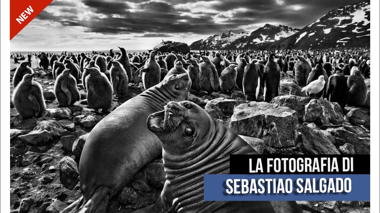 LA FOTOGRAFIA DI SEBASTIAO SALGADO // @daelmaselli  // #ASPIRANTEAM