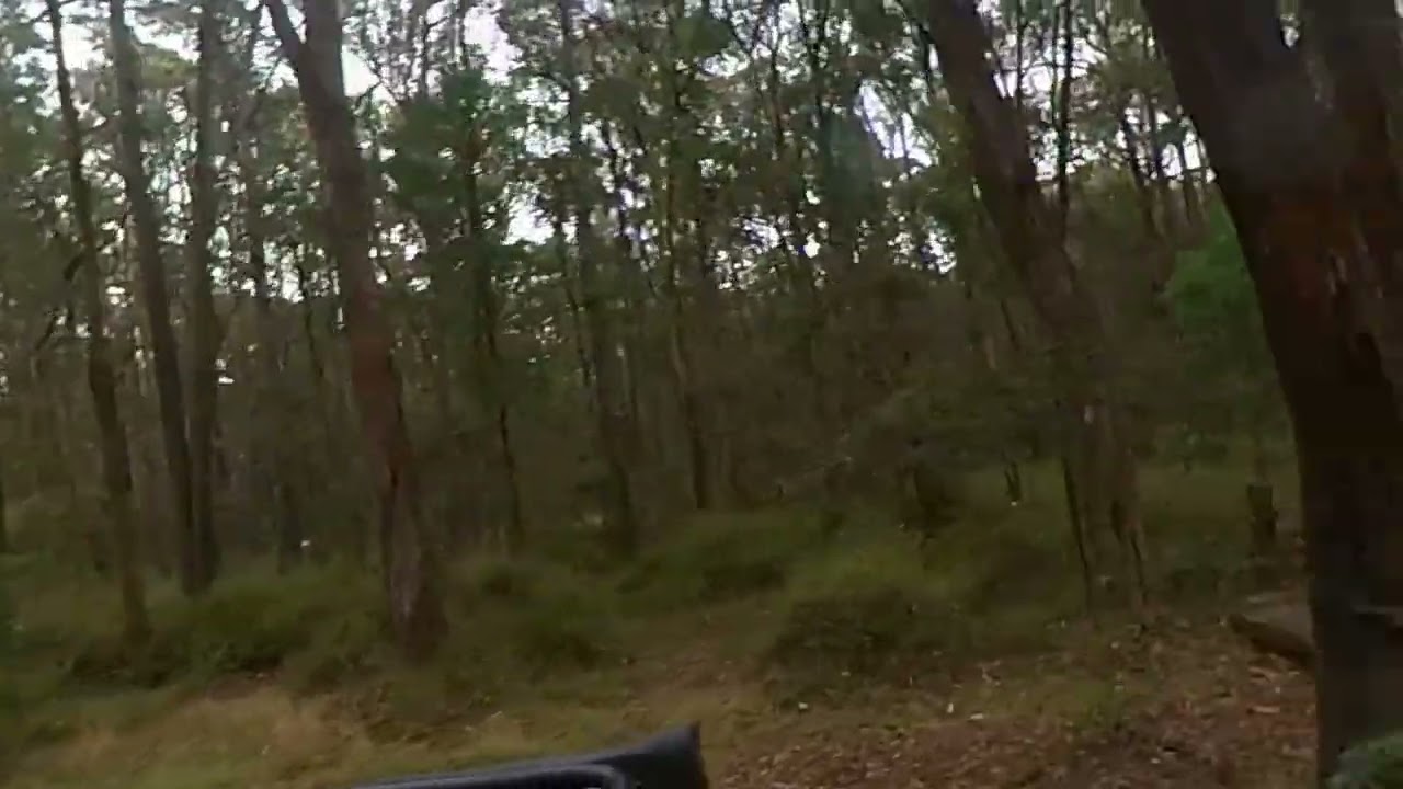 Driving to Kurth Kiln Campground. Gembrook, Dandenong Ranges
