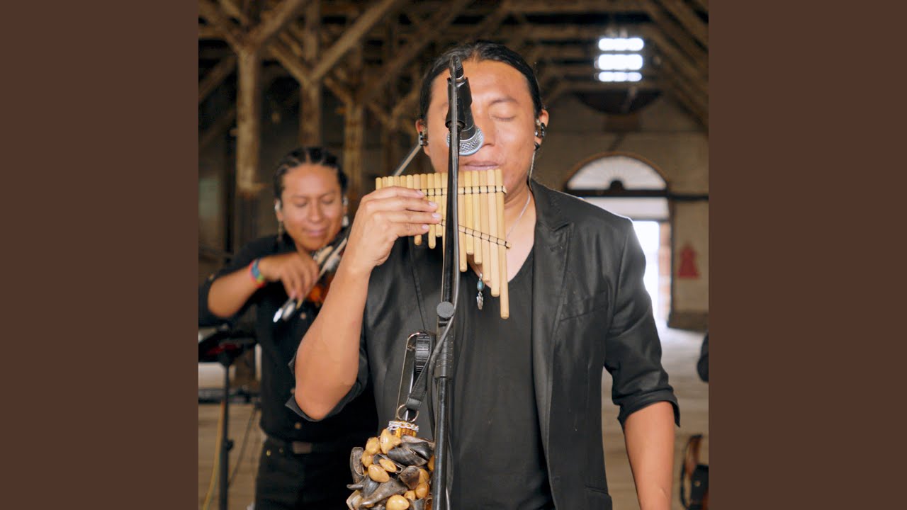 Antonio mocho 3