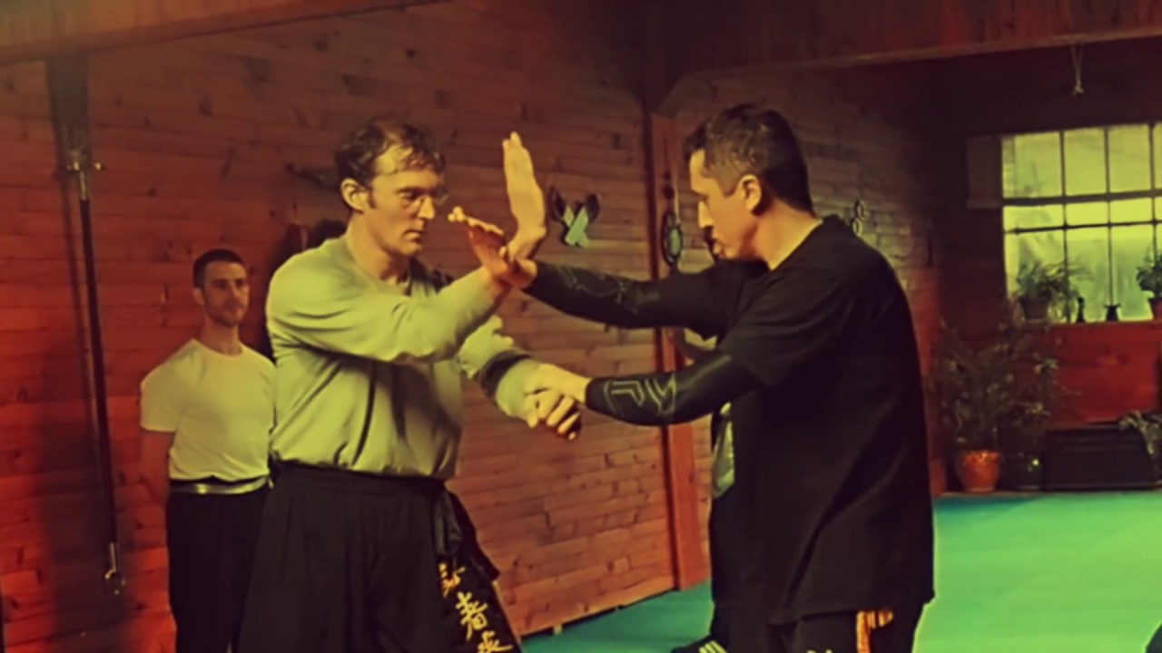 Académie de Wing Chun Kung Fu Toulouse : Extrait de stage février 2018 - Part.1