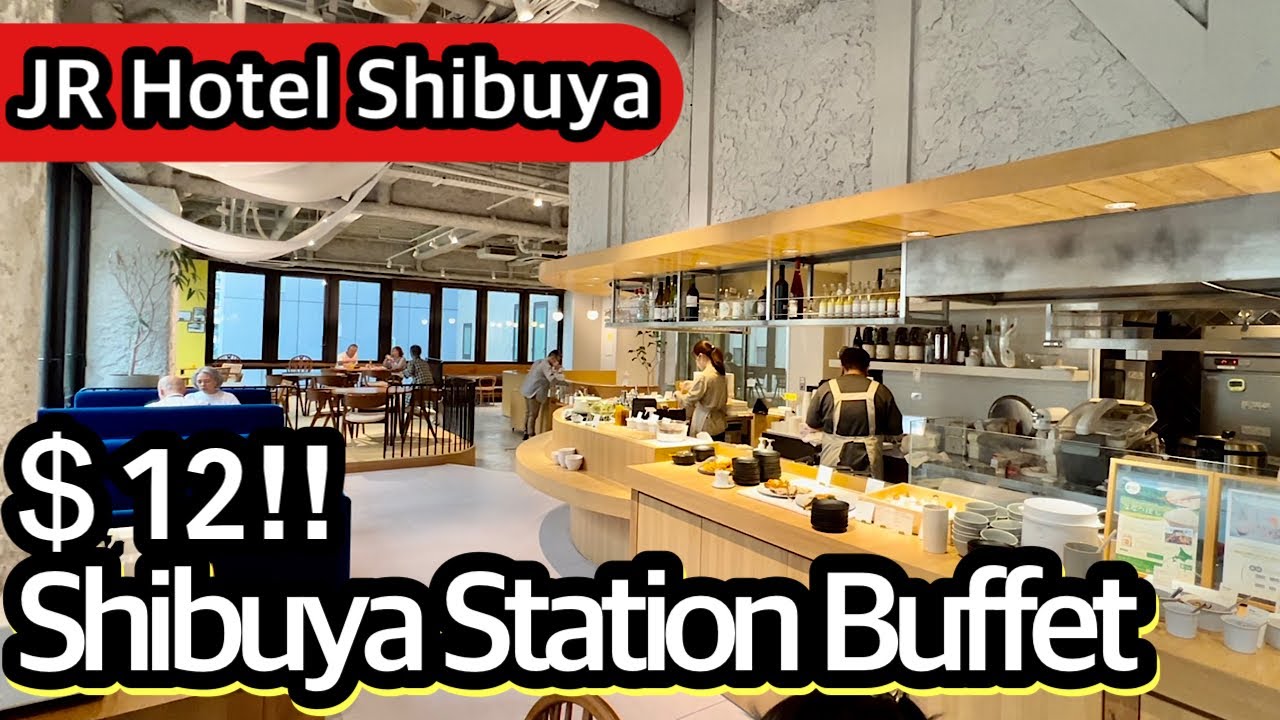 Tokyo Shibuya Station Buffet is $12 but excellent quality!
