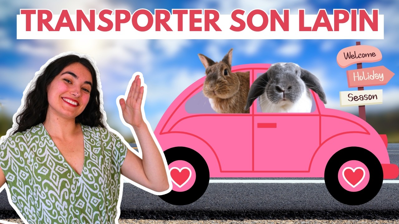 TRANSPORTER SON LAPIN 🚗🐰 Ce qu'il faut ABSOLUMENT savoir