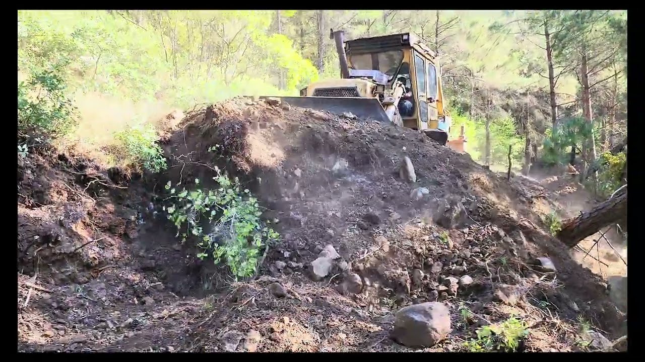 Бульдозер CATERPILLAR D7G, работы по расширению и выравниванию дорог в узких и старых зеленых лесных