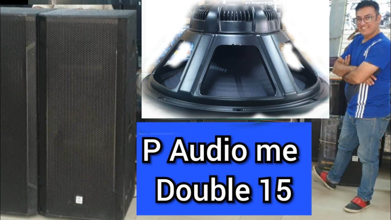 P audio sn15lf dual 15 pair