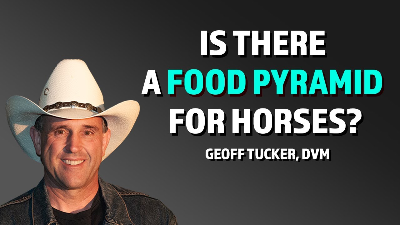 The New Food Pyramid For Horses, by Geoff Tucker, DVM.