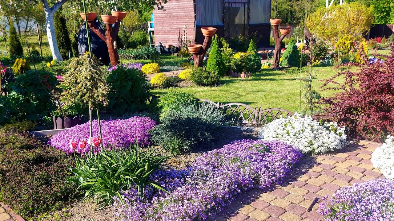 Любимая дача 08.05.2025. г.💜💛💚Творю красоту #дачныебудни 🌞🌺