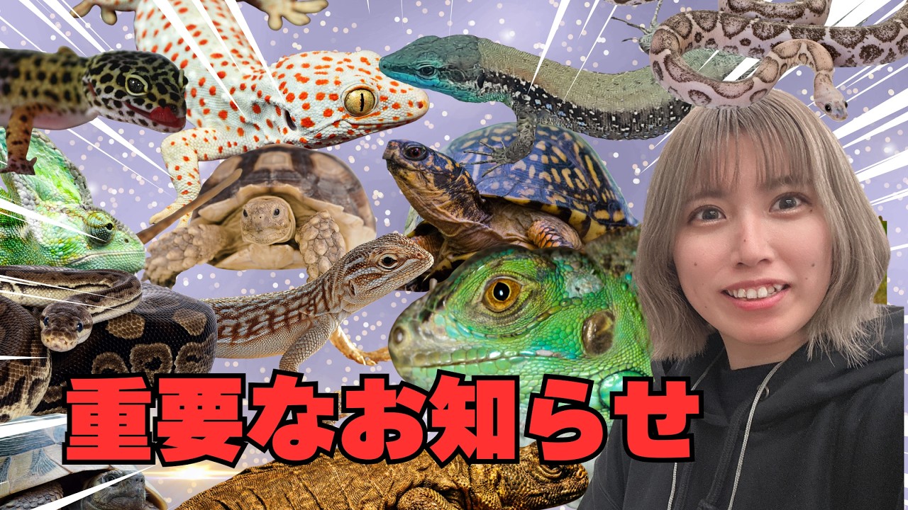 【重要なお知らせ】＆新入荷生体紹介