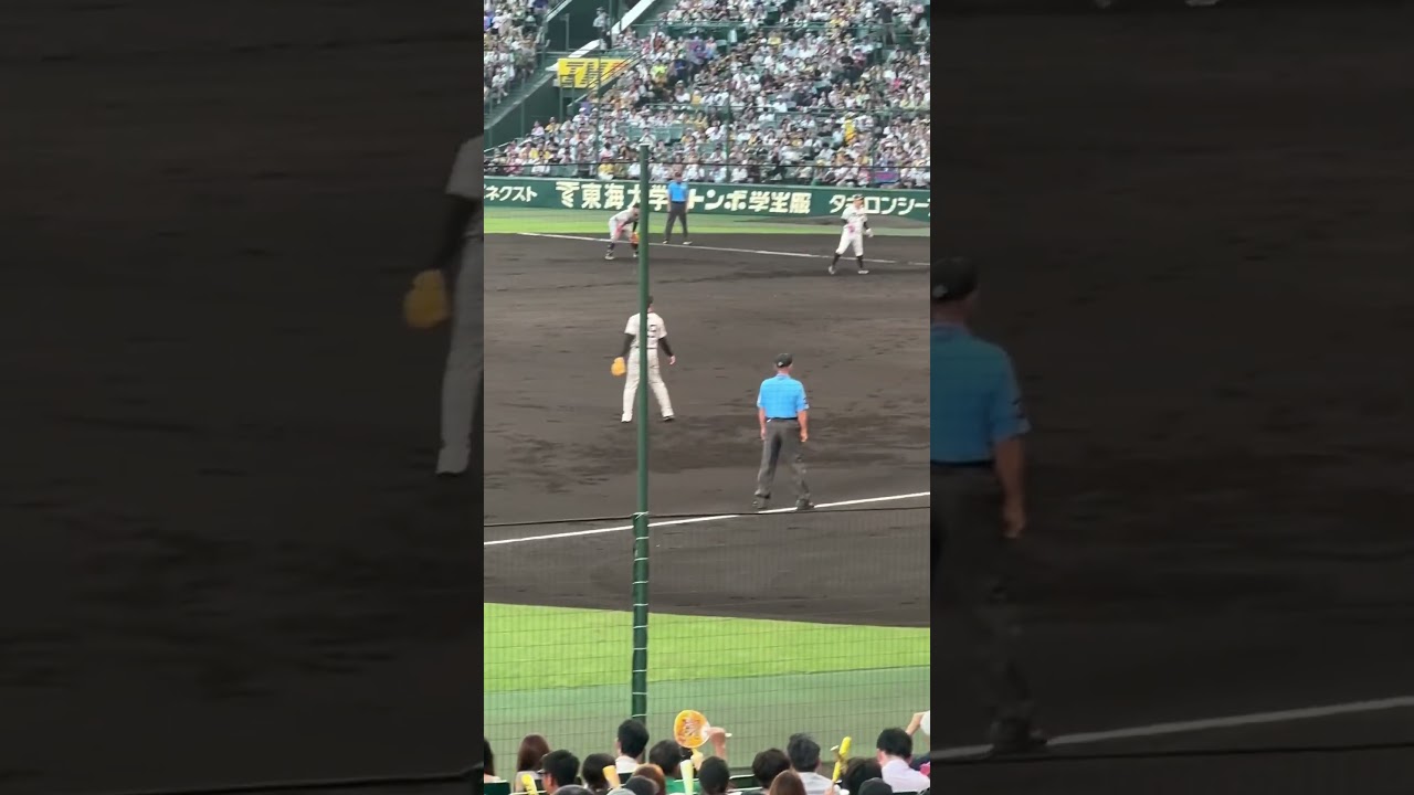 Hanshin Tigers game. #hanshintigers