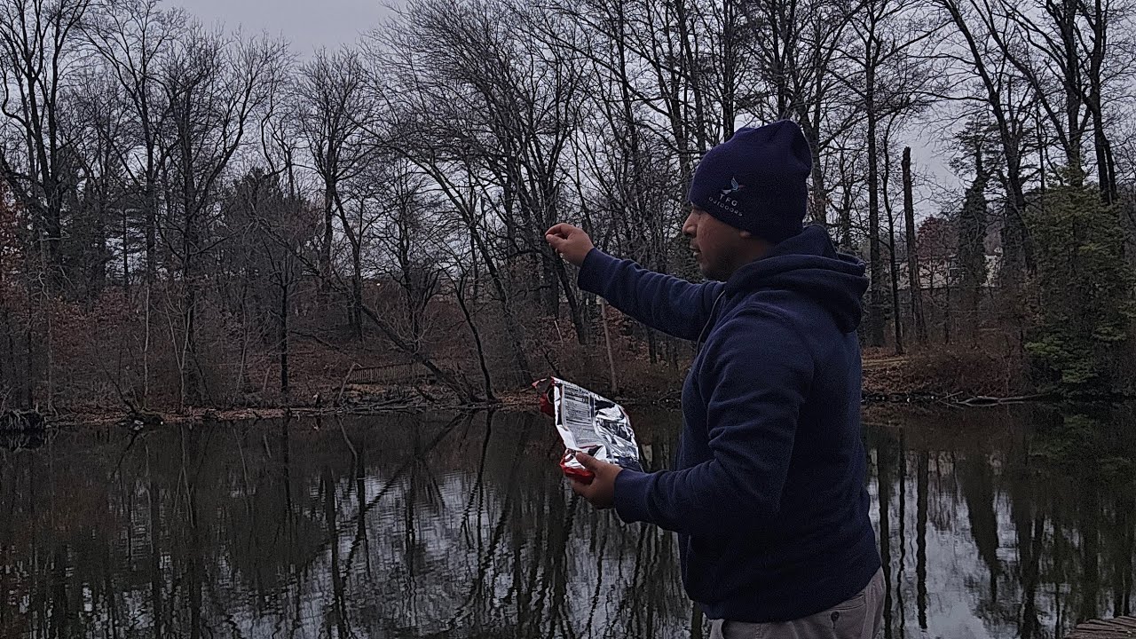 Un dia mágico alimentando patos en el lago🪿