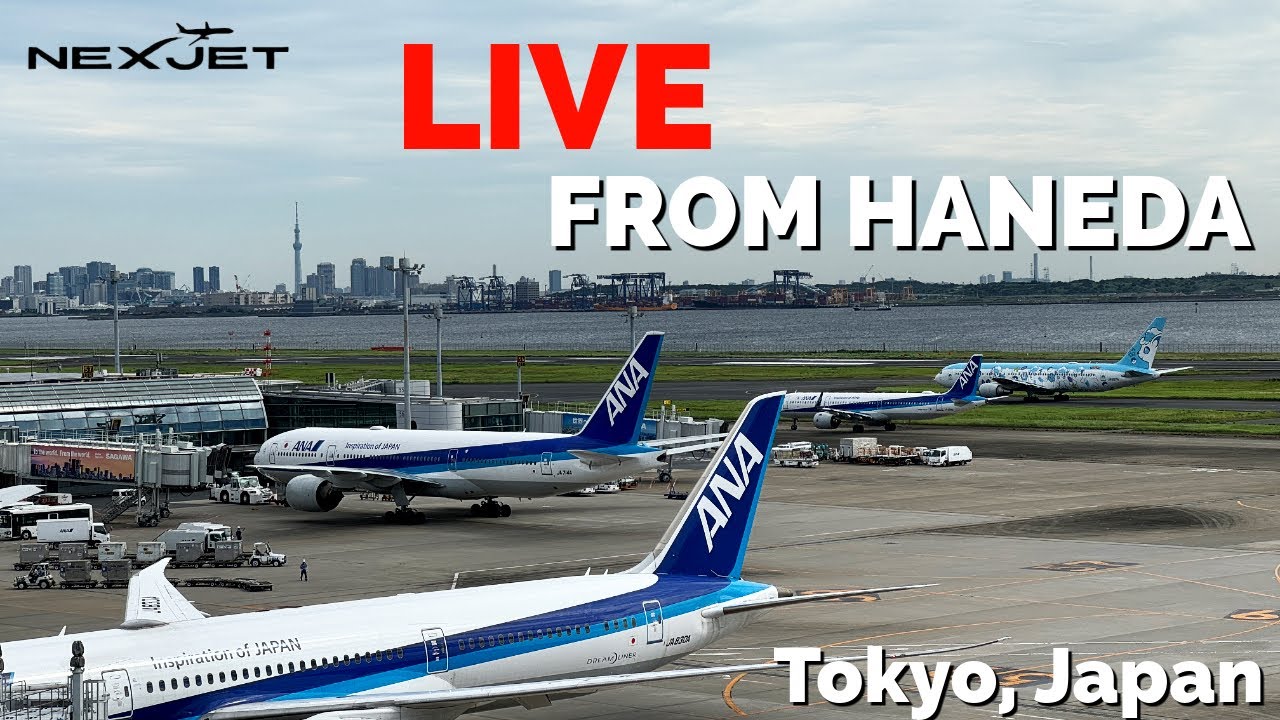 🔴 LIVE Haneda International Airport | Tokyo, Japan