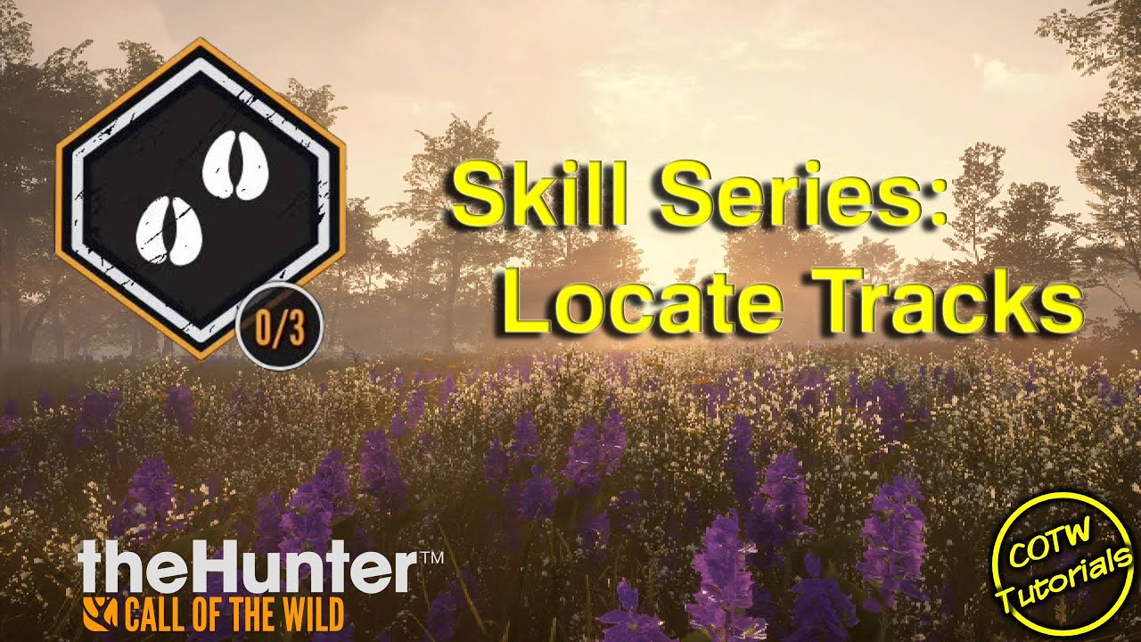 Locate Tracks Skill
