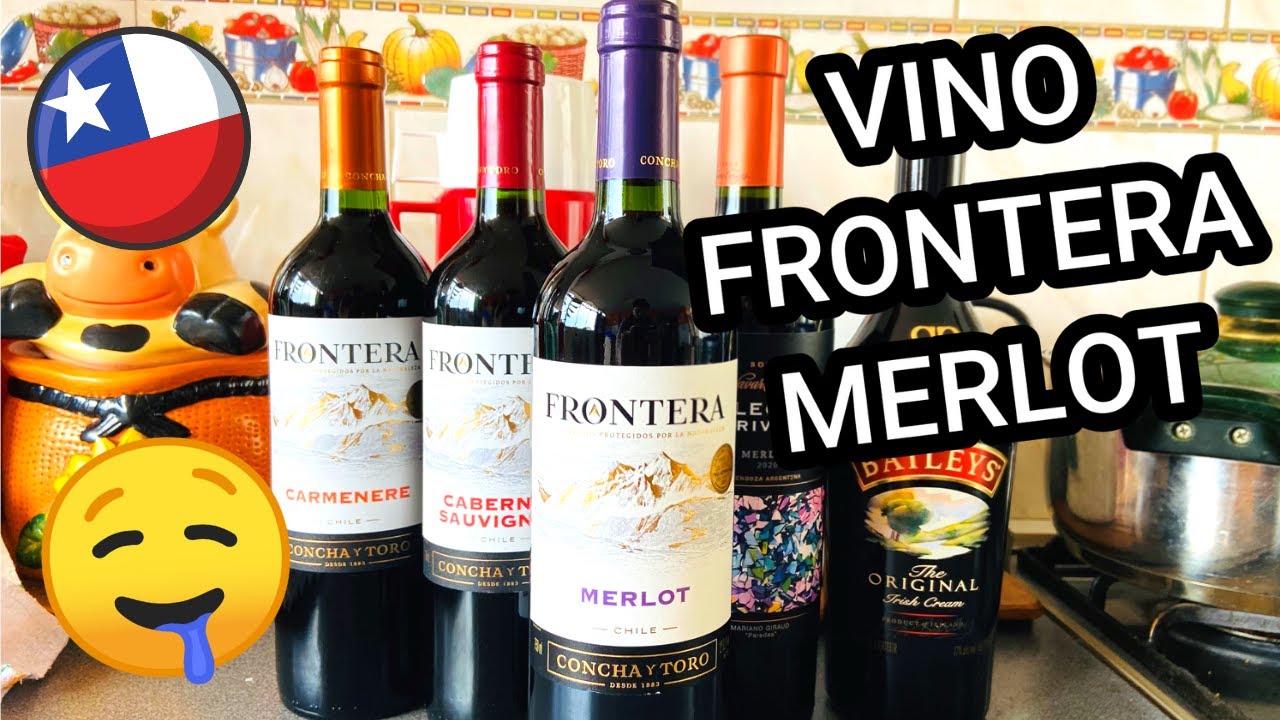 🍷&iquest;EL MEJOR Vino Tinto ECON&Oacute;MICO?🎉A&Ntilde;O NUEVO Per&uacute; [REVIEW & OPINIONES] Vino FRONTERA MERLOT