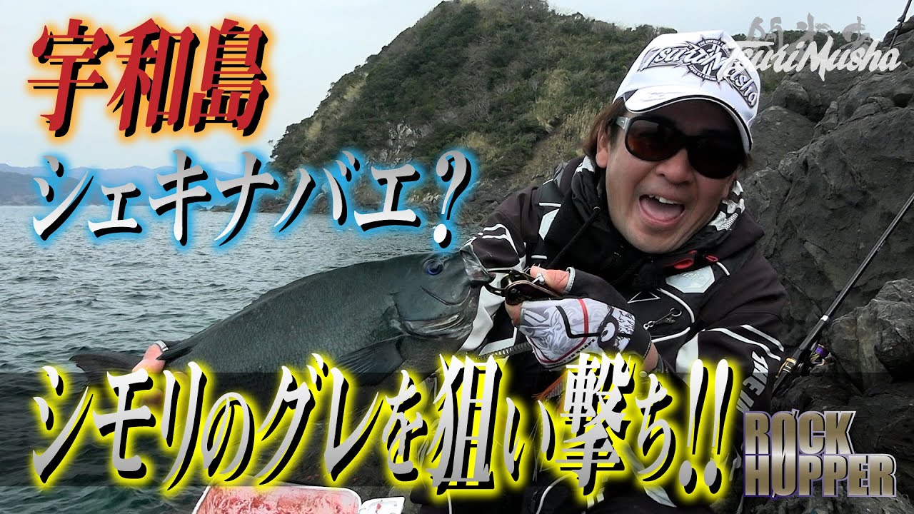 【桜グレ　宇和島シェキナバエ！？】で、シモリのグレを狙い撃ち！！