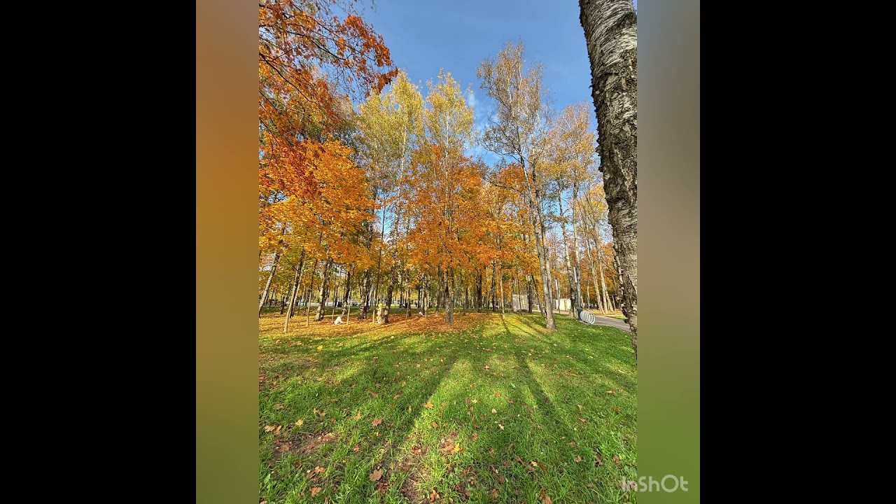 #осень2025