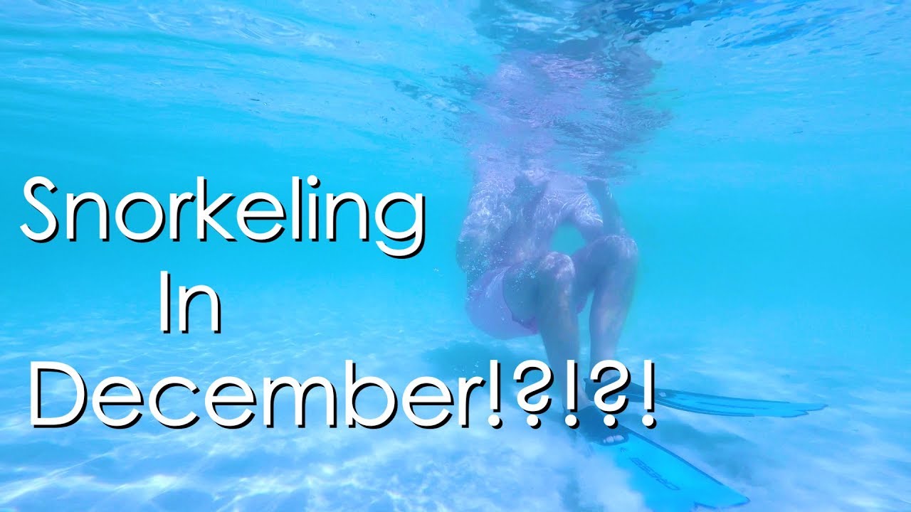 Are Holidays in a Foreign Country Better? - Walde Sailing ep.101