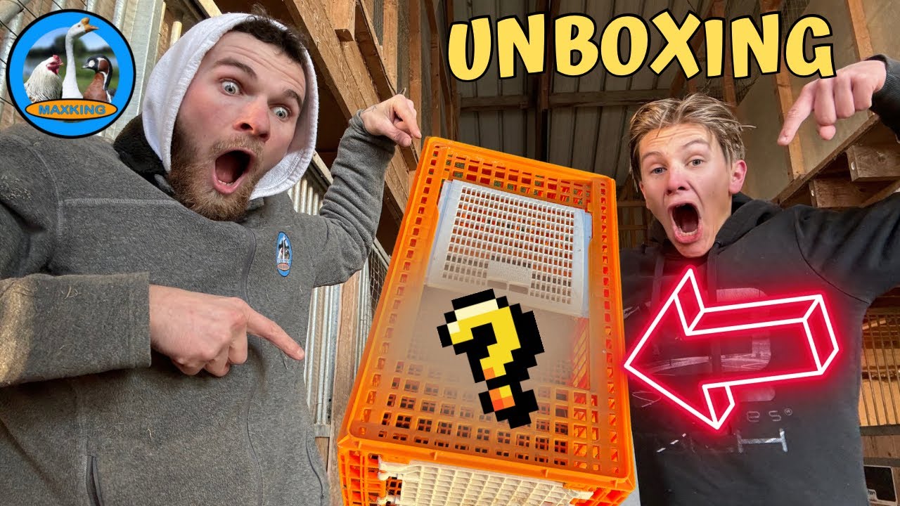 NOUVEAUX ARRIVANT EXTRÊMEMENT RARE !!!
