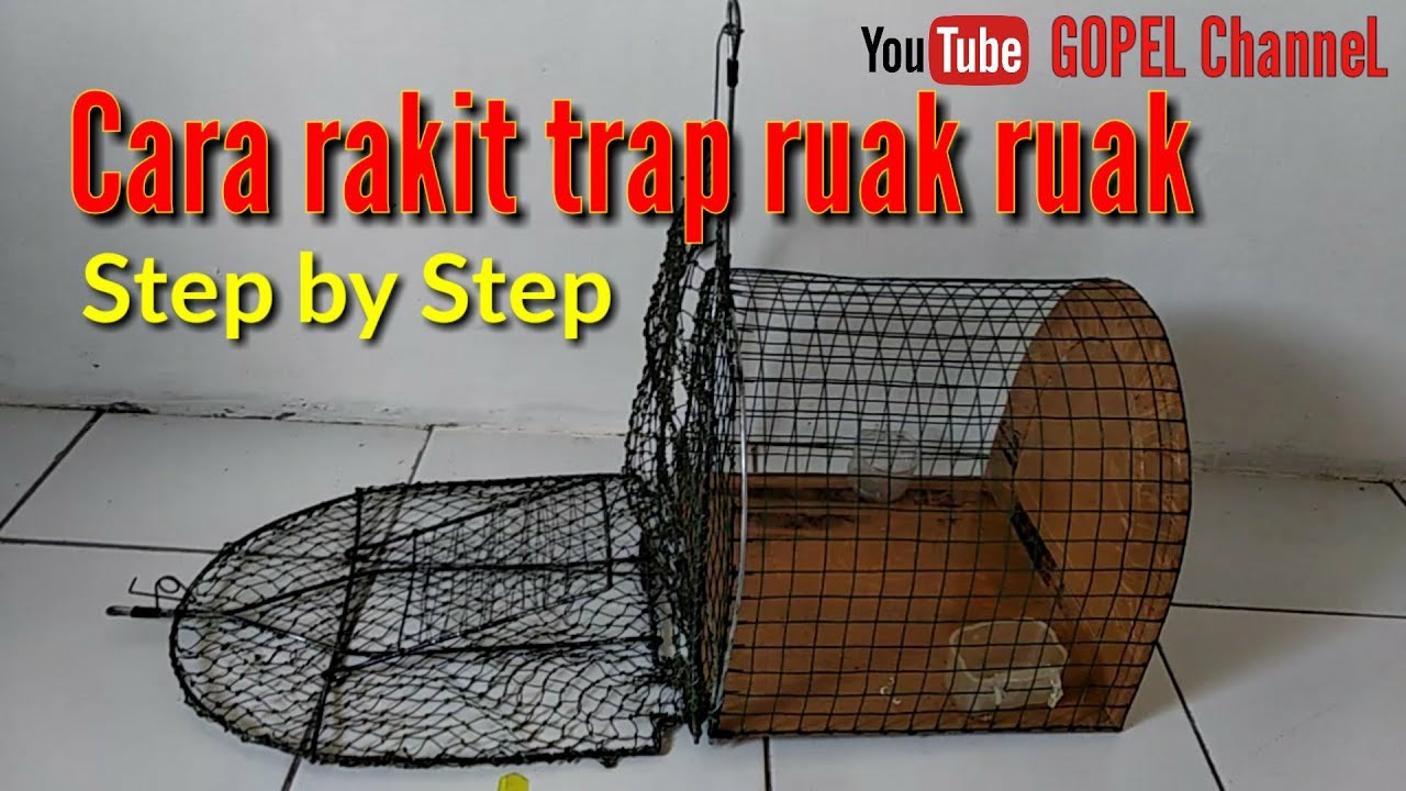 Trap ruak ruak. cara rakit step by step.