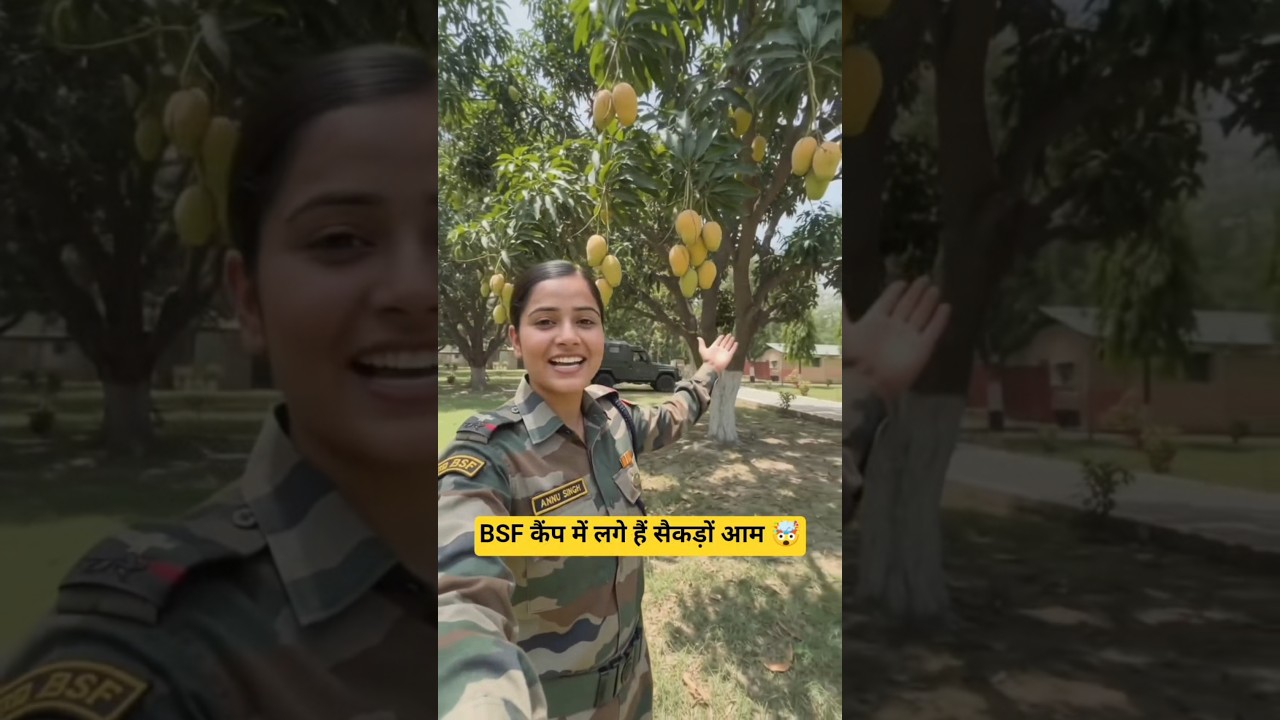The entire BSF camp was filled with mangoes! 🤯🥭 #bsf #camp #faujilyfstyle #indianarmyannu #viral ...