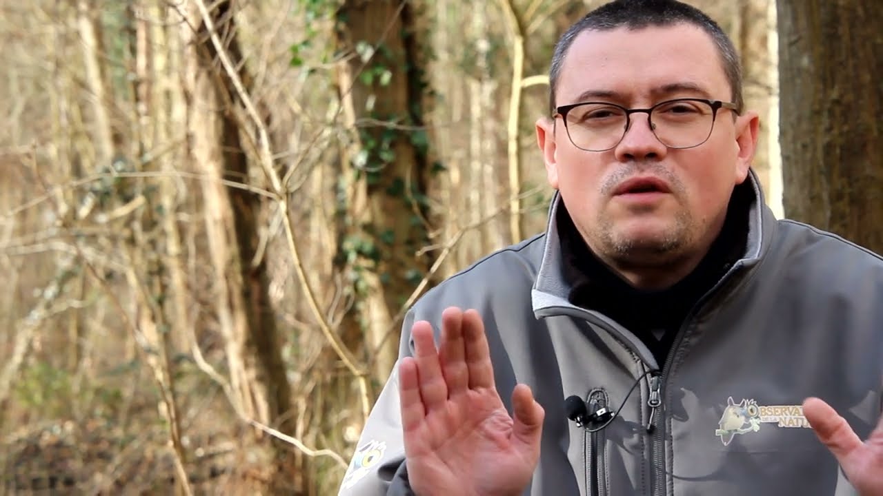 La chronique nature : les turricules du ver de terre