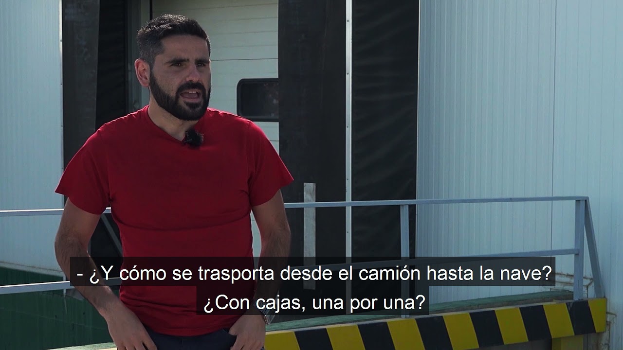 FOCAL - Bloque 4: Manipulación, envasado y almacenamiento de cítricos (subtitulado)