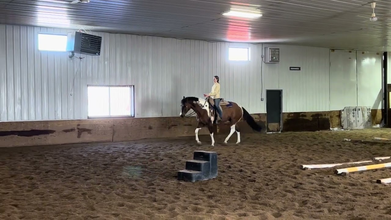 Pt. 1 Winter Hms Practice 26
