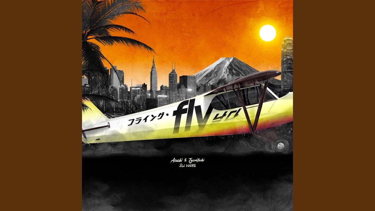 Fly