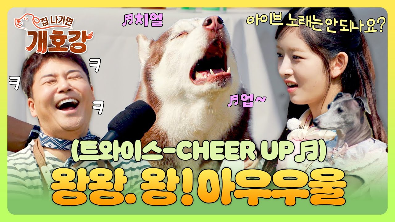 노래하는 강아지 '레오'의 입학식 축하 무대🌟 ((아이브도 기다릴게요🤭))  | 집 나가면 개호강 2회 | JTBC 250601 방송