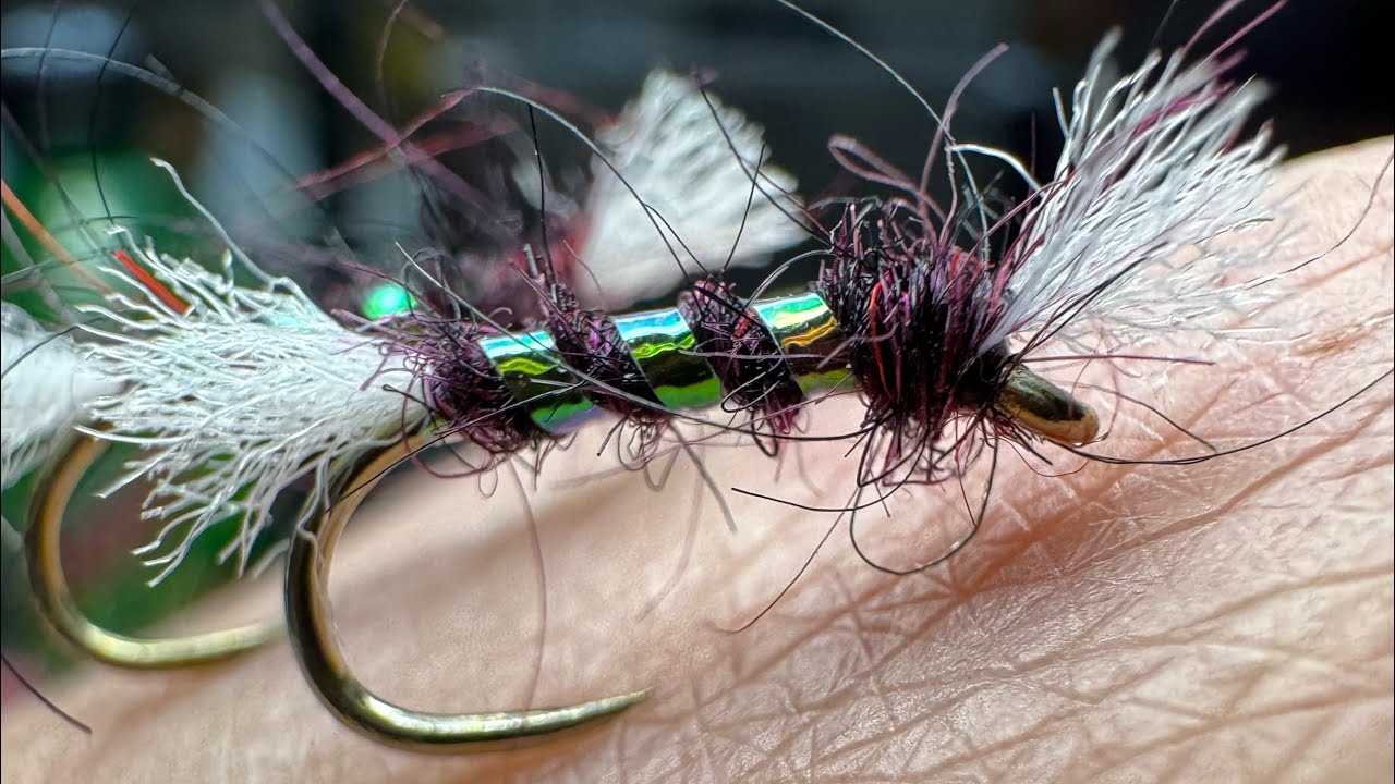 Tying a Shipman Buzzer - Trout Fishing #fishing #flyfishing #flytying #trout #troutfishing #fly