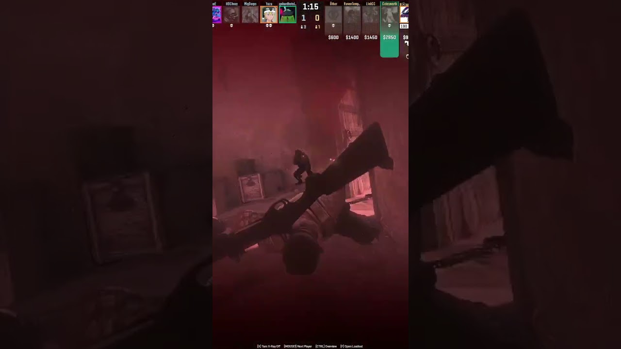Cotesworth the American Rebel Hero  #csgo #gaming #livestream #counterstrike #funny