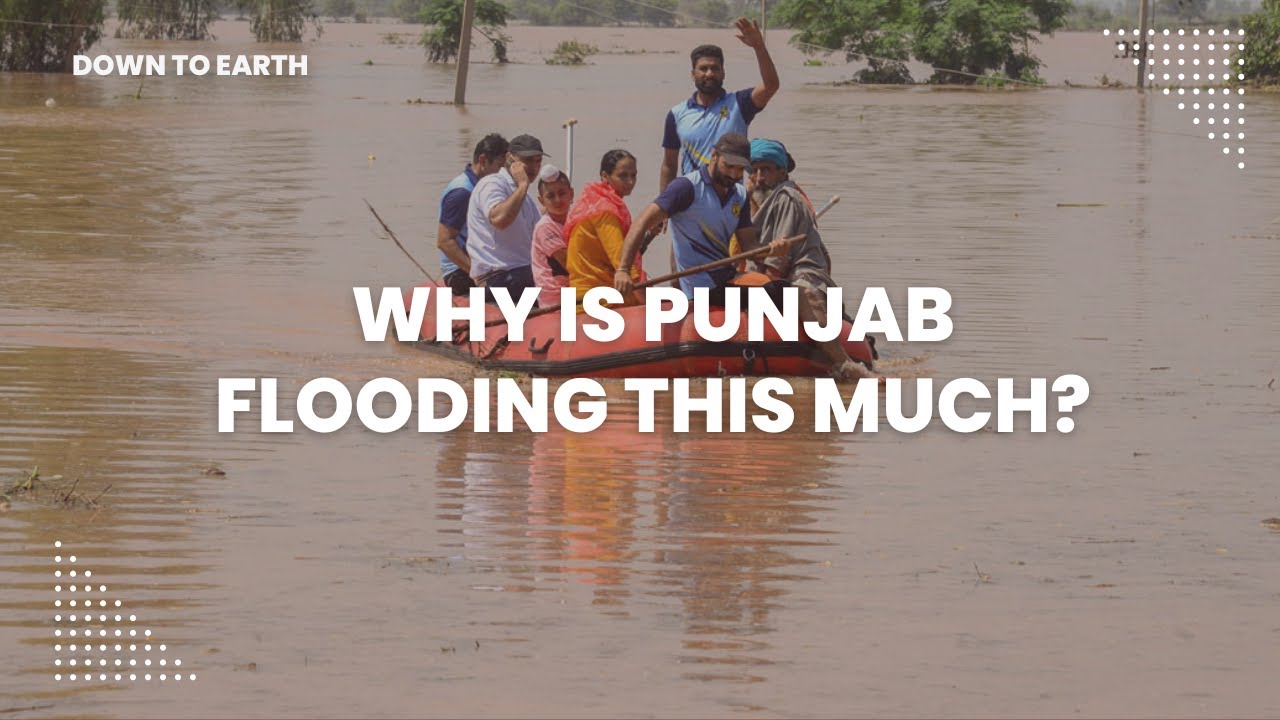 From poor sewage management to overflown rivers; why is Punjab flooding this much?