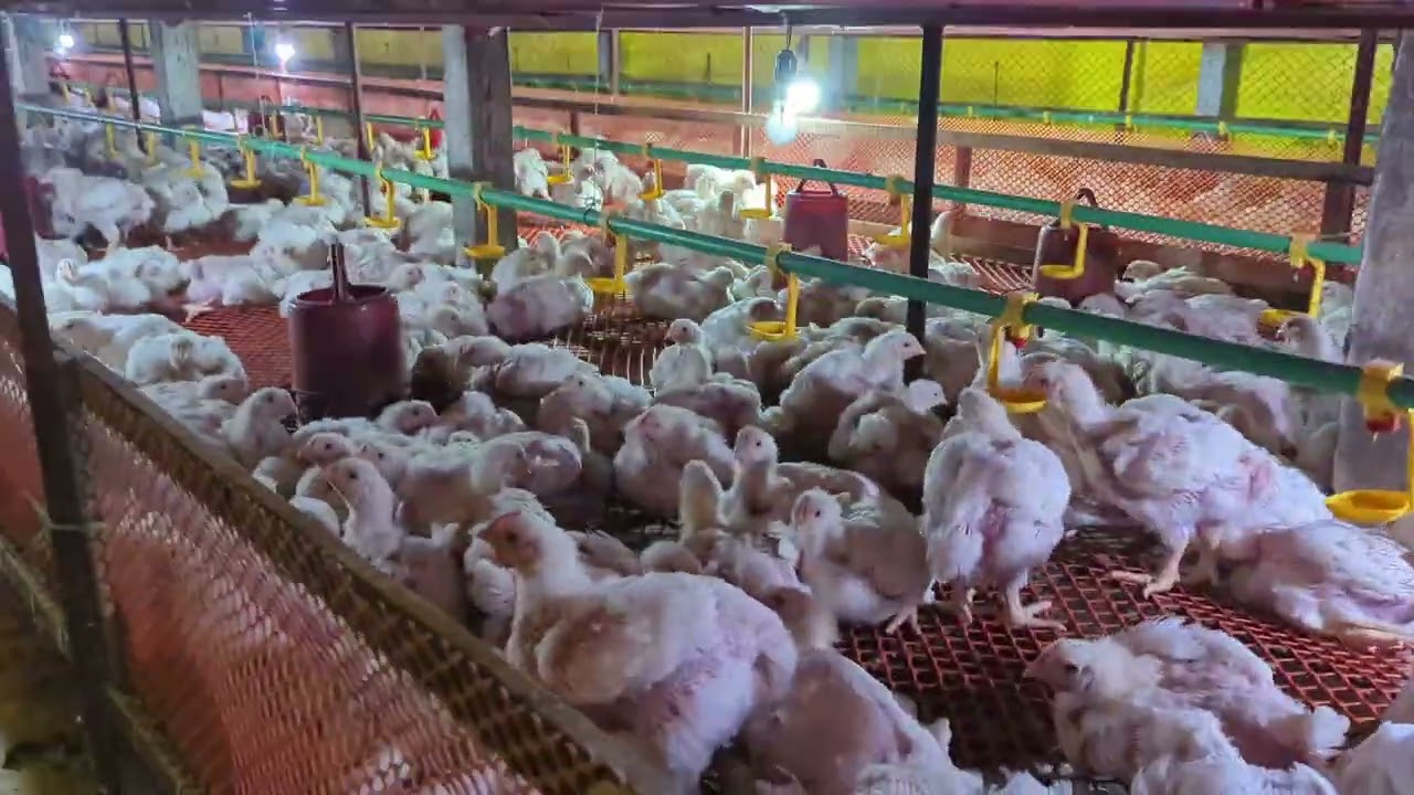 ফার্মিংয়ে ব্যবহৃত নতুন প্রযুক্তি বা পদ্ধতি।