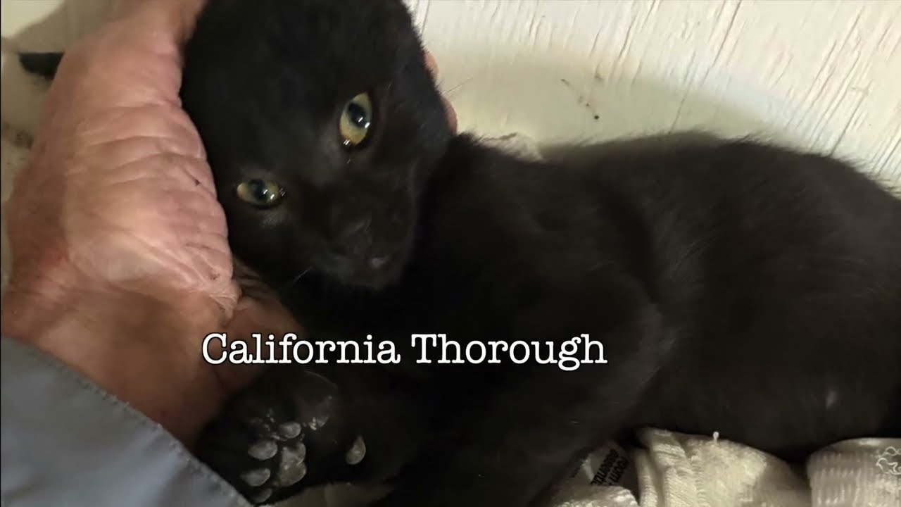 Новости гоночного клуба 11 19 25