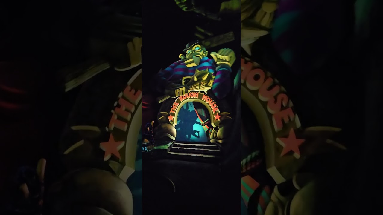 I went on the Pinocchio's during Journey ride with my mom and my little brother at Disneyland