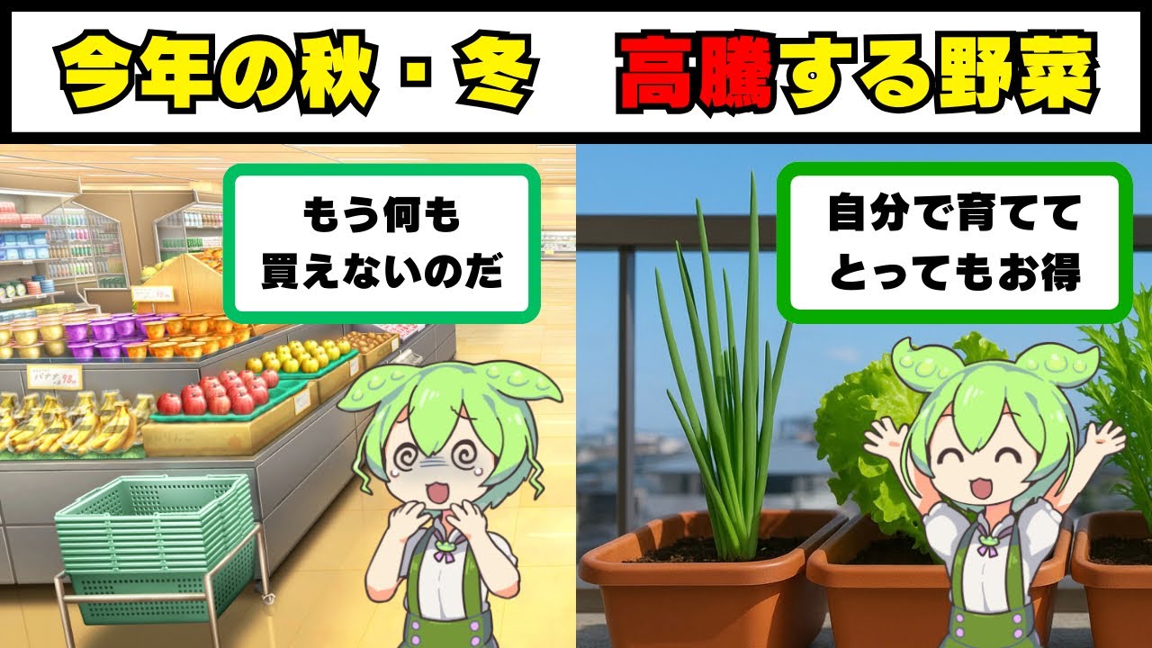 今年の秋・冬に値段が高騰する野菜とその育て方【ずんだもん解説】