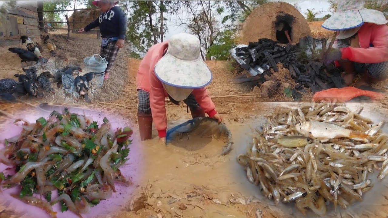 1 มีนาคม ค.ศ. 2026แกงปลาชิวก้อยกุ้ง[ແກງປາຊິວກ້ອຍກຸ້ງ]